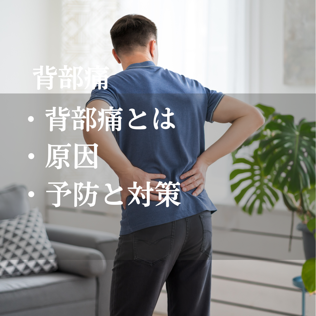 背部痛:原因や解消法について 稲沢市のTotal health support Sherpaが解説 | 症例 | 稲沢市の整体ならTotal ...